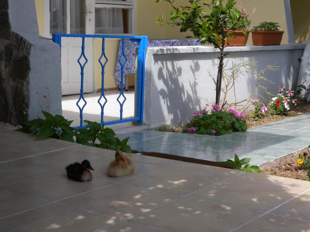 Eysan Pansiyon Akçay Ngoại thất bức ảnh